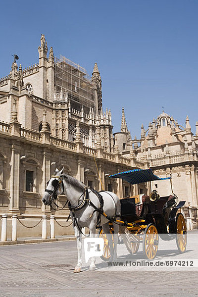 Kathedrale  frontal  Transport  Andalusien  Sevilla  Spanien