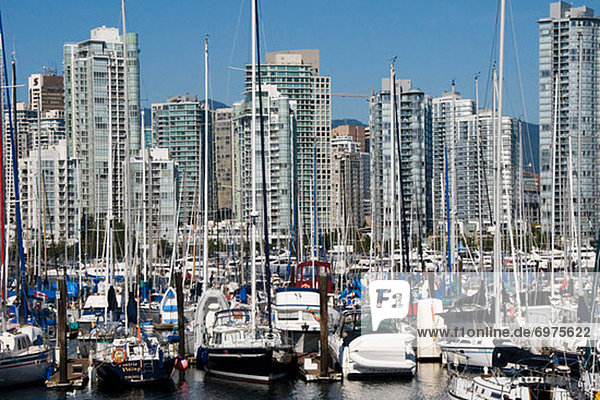 Harbour and Vancouver Skyline  British Columbia  Canada