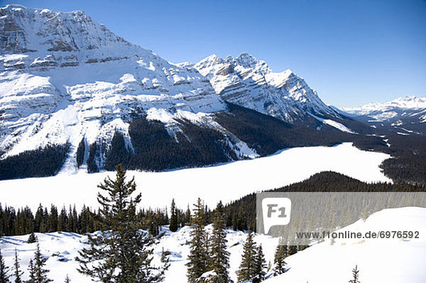 Rocky Mountains Peyto Lake Banff Nationalpark Alberta Kanada