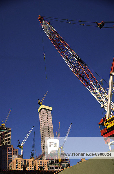 Office Construction  Cranes