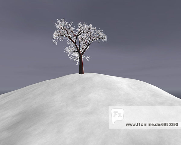 Illustration of Winter Scene,  Lone Tree on Hill
