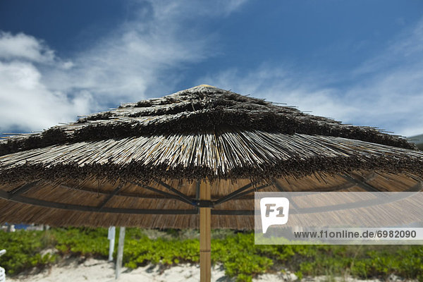 Sonnenschirm  Schirm  Turks- und Caicos-Inseln