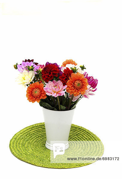 Dahlias (Dahlia) in a flower vase
