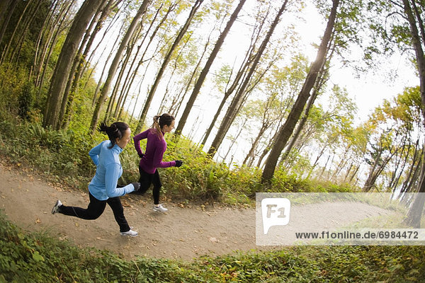 Women Running on Forest Trail  Seattle  Washington  USA