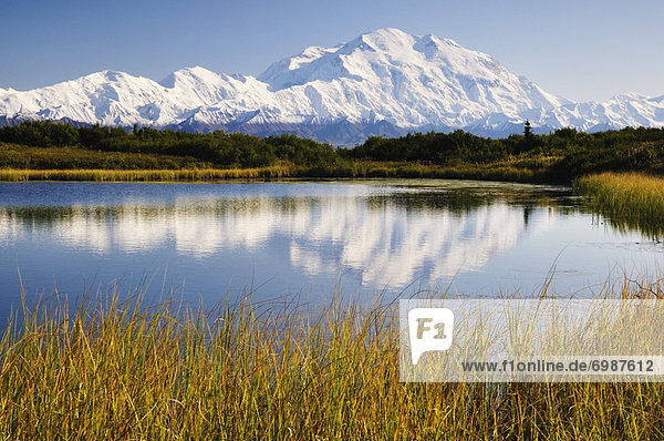 Mount McKinley  Denali National Park and Preserve  Alaska  USA