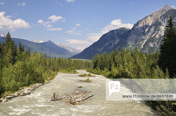 Swiftcurrent Creek and Columbia Mountains  Mount Robson Provincial Park  British Columbia  Canada