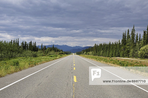 Alaska Highway Near Whitehorse  Yukon Territory  Canada