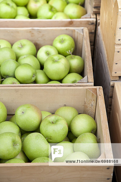 Crates of Organic Apples  Penticton  Okanagan Valley  British Columbia  Canada