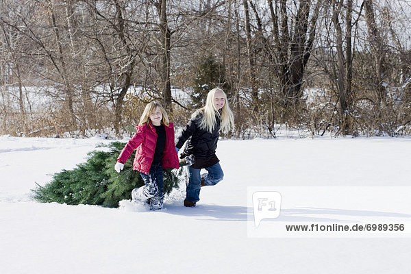 Girls Dragging Christmas Tree through Snow