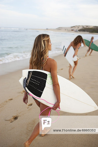Women Carrying Surfboards  Baja California Sur  Mexico
