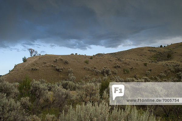 Vereinigte Staaten von Amerika  USA  Landschaft  Yellowstone Nationalpark  Wyoming