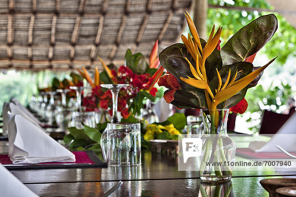 Blume am Tisch essen offen Restaurant Himmel Tisch