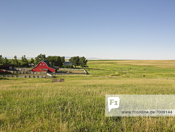 Bauernhof Hof Höfe Pincher Creek Alberta Alberta Kanada