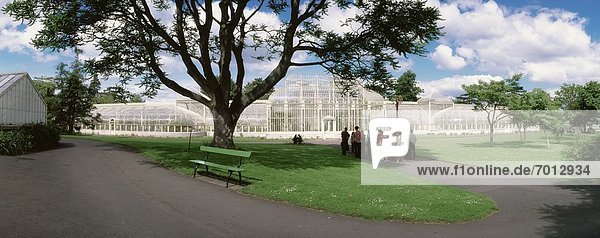 Dublin Hauptstadt Garten Palmenhaus Schönbrunn Botanik Irland irisch