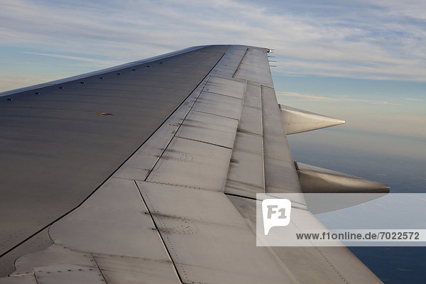 Airplane Wing