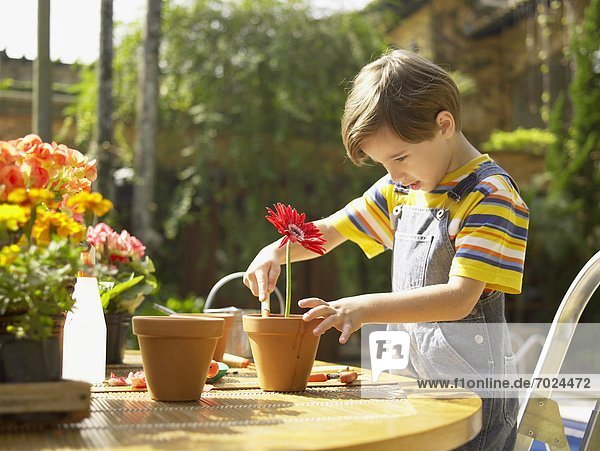Boy planting flowers
