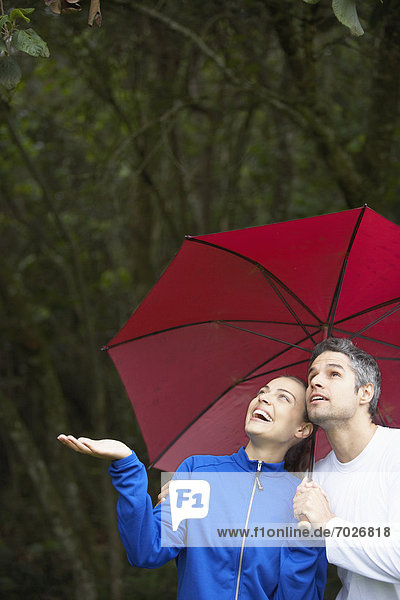 sehen Regenschirm Schirm unterhalb Regen