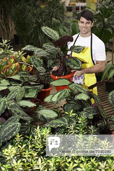 Male florist surrounded by potted plants