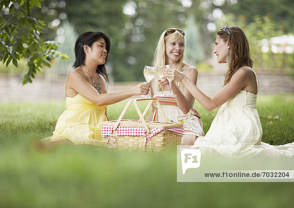 Freundschaft Picknick 3