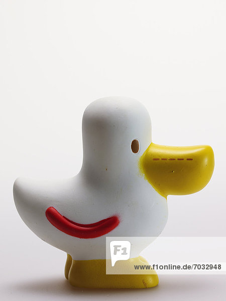 Toy Bird