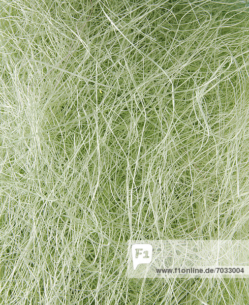 Green Fiber