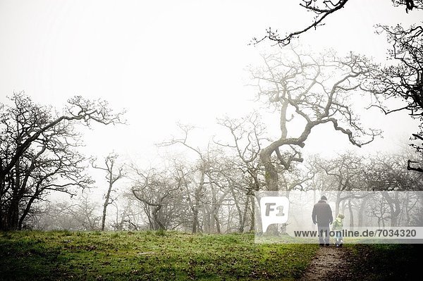 Adult And Child Walk Through Eerie Fog Shrouded Park