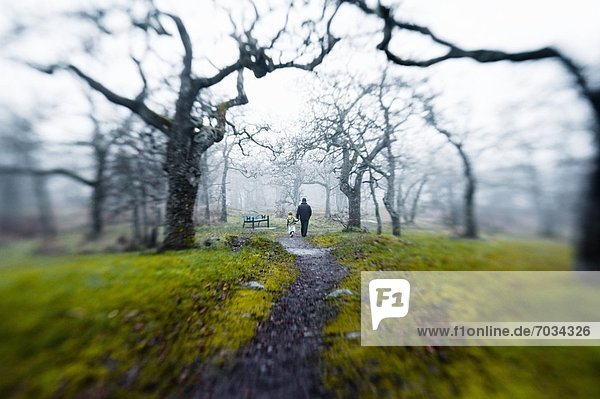 Adult And Child Walk Through Eerie Fog Shrouded Park