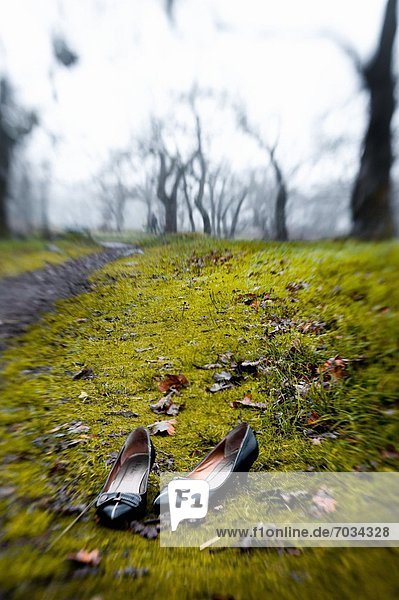 Discarded Women's Shoes On Ground In Late Autumn