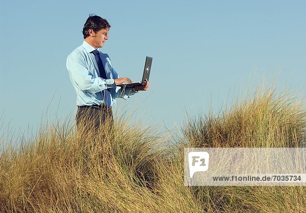 Außenaufnahme Mann Notebook Strand arbeiten umgeben Gras freie Natur