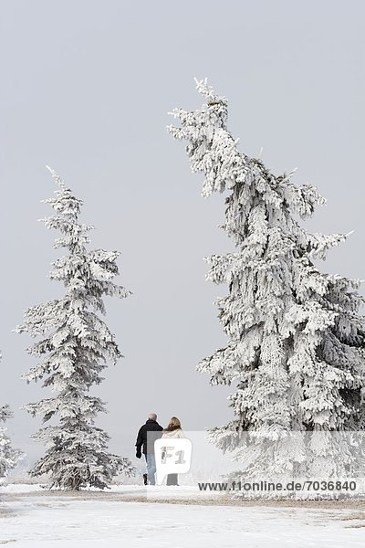 Couple Walking Between Two Snow Covered Trees