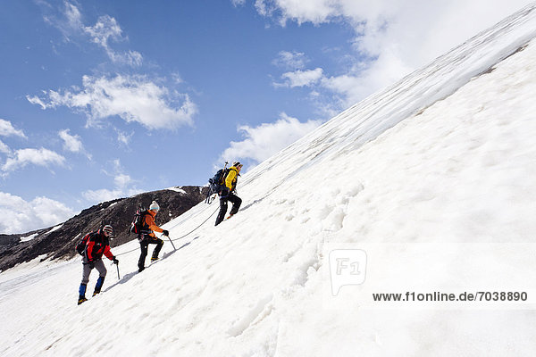 Mountain climbers on Zufallferner Glacier in the Martell Valley above Marteller Huette hut on a route over the flank  Alto Adige  Italy  Europe