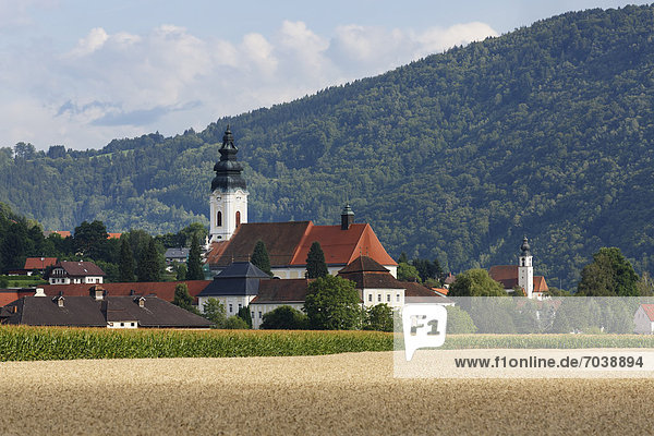 Engelszell Abbey  Engelhartszell an der Donau  Innviertel region  Upper Austria  Austria  Europe  PublicGround