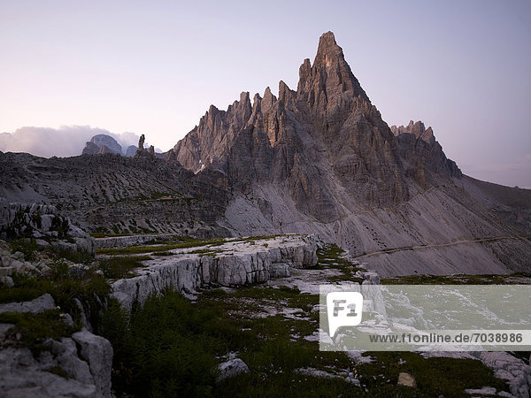 Paternkofel in Morgendämmerung  Sextener Dolomiten  Nationalpark Dolomiti di Sesto  Hochpustertal  Südtirol  Italien  Europa
