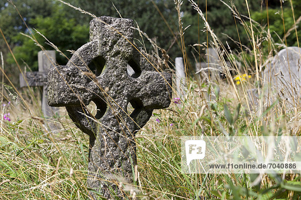 Grabstein  keltisches Kreuz  Brompton Cemetery  Friedhof  London  England  Großbritannien  Europa