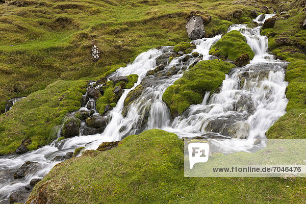 Waterfall on the Faroe Islands  Denmark  Northern Europe  Europe