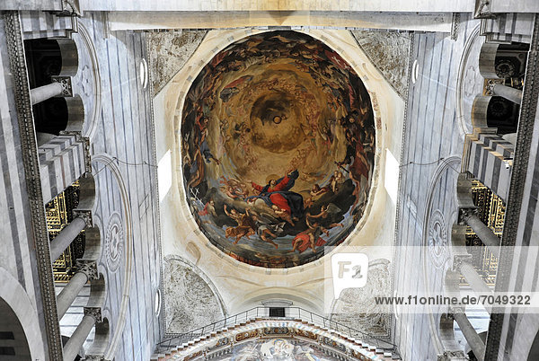 Deckengewölbe  Deckenmalerei  Fresken  Dom  Piazza Dei Miracoli  Pisa  Toskana  Italien  Europa