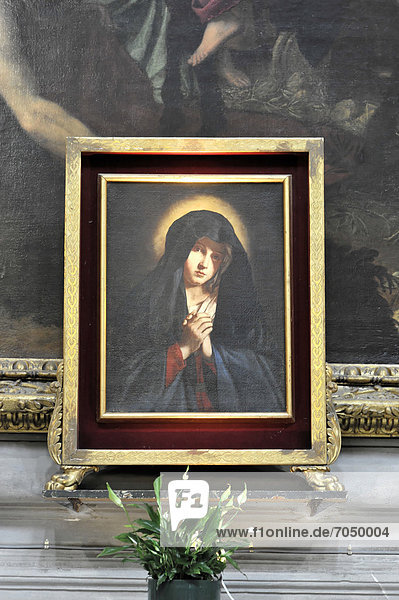 Marienbild  Seitenaltar  Franziskanerkirche Santa Croce  Piazza Santa Croce in Firenze  Florenz  Toskana  Italien  Europa
