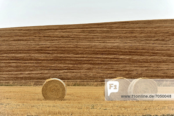 Strohballen  abgeerntete Weizenfelder  Landschaft südlich von Pienza  Toskana  Italien  Europa  ÖffentlicherGrund