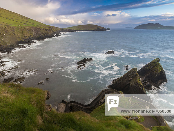 Küstenlandschaft  Dingle-Halbinsel  County Kerry  Republik Irland  Europa
