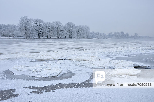 Schnee und Eis auf der Elbe  kalter Wintermorgen  bei Dessau-Roßlau  Sachsen-Anhalt  Deutschland  Europa