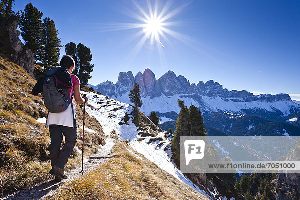 Bergsteigerin beim Herrensteig  Kofelwiesen im Villnösstal  hinten die Geislerspitzen  Südtirol  Italien  Europa