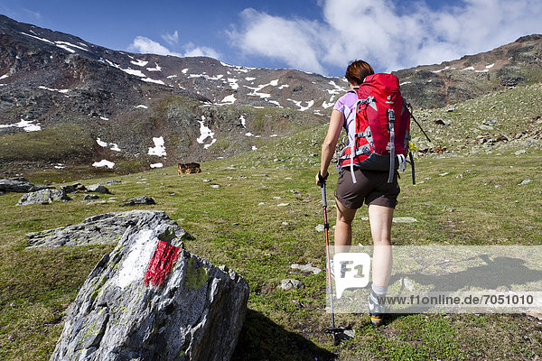 Wanderer beim Aufstieg zur Gleckspitz im hintersten Ultental  hinten der Gipfel der Gleckspitz  Ultental  Südtirol  Italien  Europa