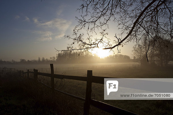 Früher Morgen mit Sonnenaufgang im Herbst an einer Koppel im Havelland  Brandenburg  Deutschland  Europa