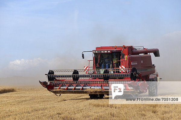 Grain harvest by machine  a combine harvester on a harvested wheat field  Germany  Europe