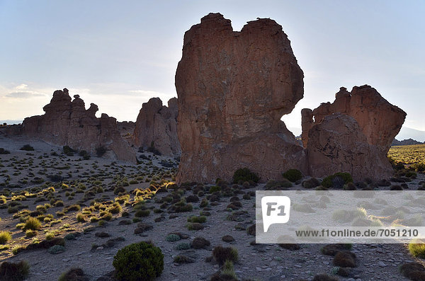 Rocks in the Valle de las Rocas valley  near Uyuni  Altiplano  Bolivia  South America