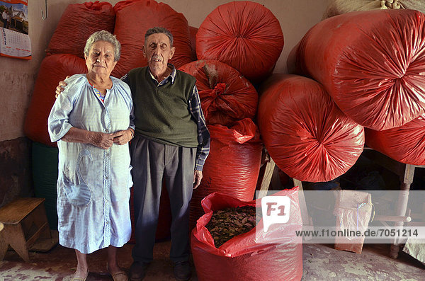 Mature couple  coca leaf traders in front of big red sacks filled with coca leaves  Coroico  La Paz  Yungas  Bolivia  South America