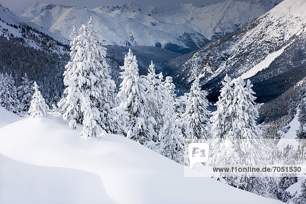 Winterlandschaft  Ofenpass  Schweizerischer Nationalpark  Graubünden  Schweiz  Europa