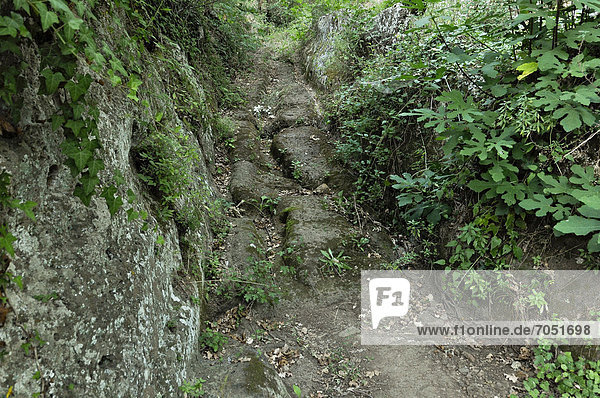 Ancient Etruscan road with ruts carved into tuff  Tagliata delle Poggette  archaeological zone at San Giovenale  near Blera  Lazio  Italy  Europe  PublicGround