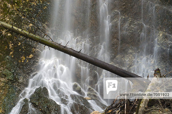 Waterfall in the Tiefenbachklamm gorge  Kramsach  North Tyrol  Austria  Europe