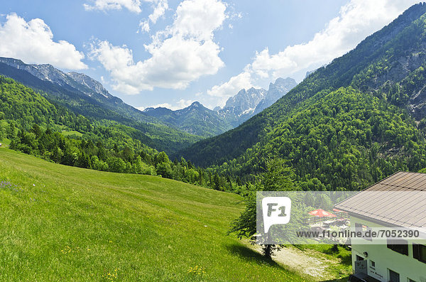 View of the Kaisertal valley  Pfandlhof farm on the right  Tyrol  Austria  Europe